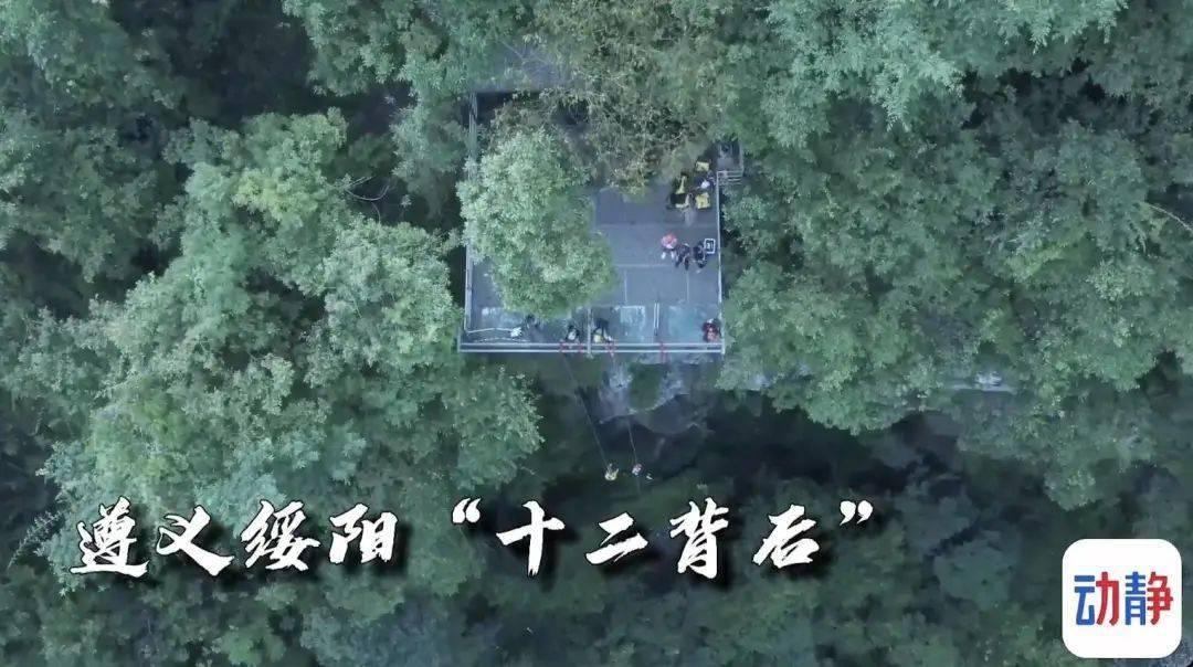 酸奶放冰箱里过了保质期还能喝吗游戏画面